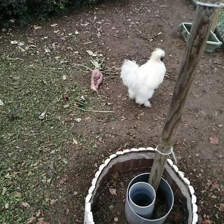 Bin Benaise Draps Et Serviettes Compris 度假居 *