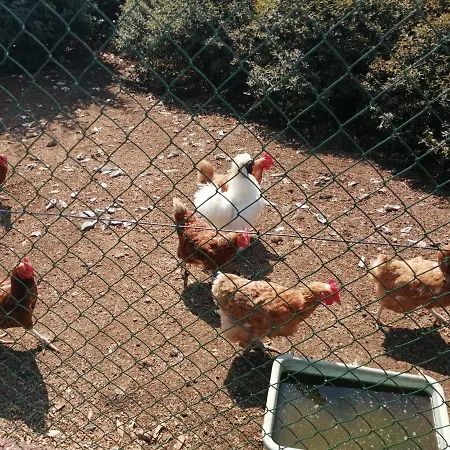 Сasa de vacaciones Bin Benaise Draps Et Serviettes Compris Pamproux