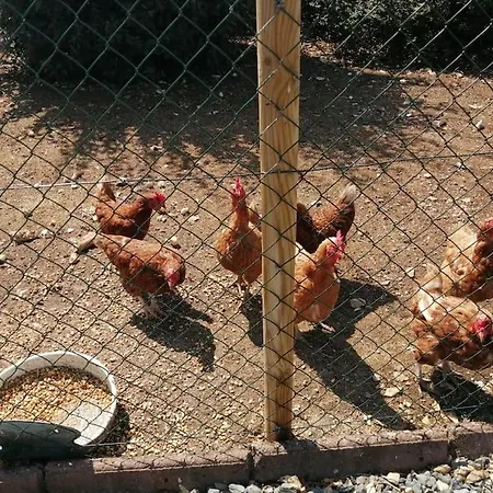 Bin Benaise Draps Et Serviettes Compris 度假居 *