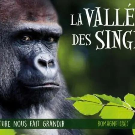 度假居 Bin Benaise Draps Et Serviettes Compris *