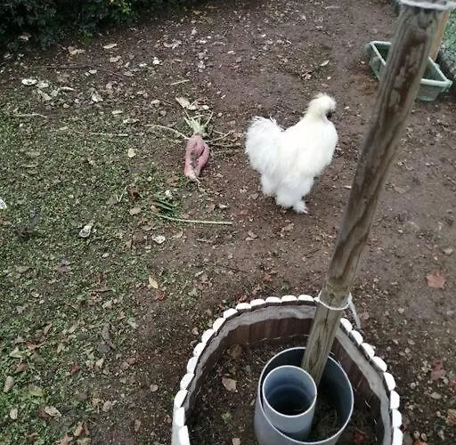 Bin Benaise Draps Et Serviettes Compris Nyaraló *