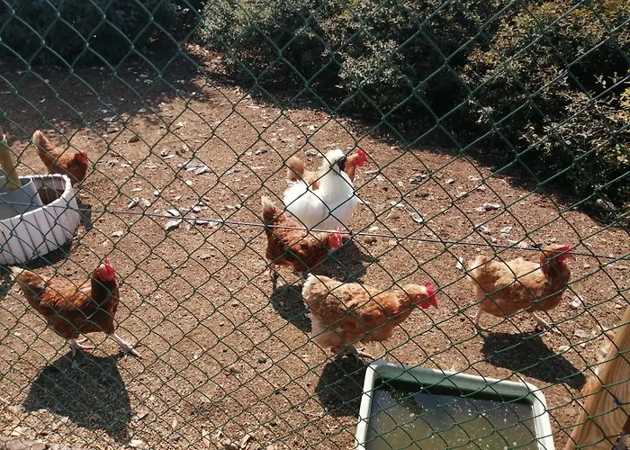 Сasa de vacaciones Bin Benaise Draps Et Serviettes Compris Pamproux