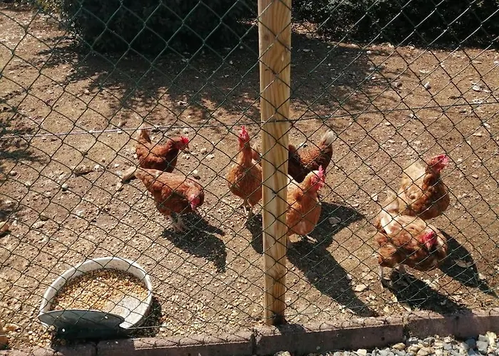 Bin Benaise Draps Et Serviettes Compris Nyaraló *