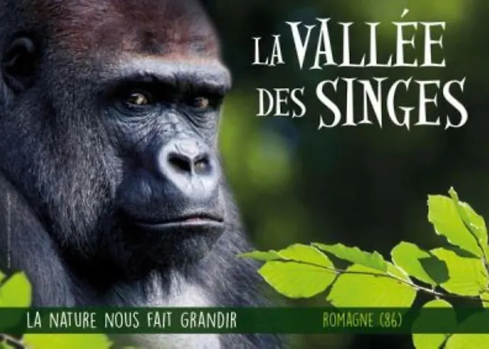 Nyaraló Bin Benaise Draps Et Serviettes Compris *